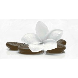 Gạch trang trí 30x45 Prime Digit 05.300600.09416